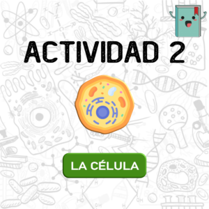 2. LA CÉLULA