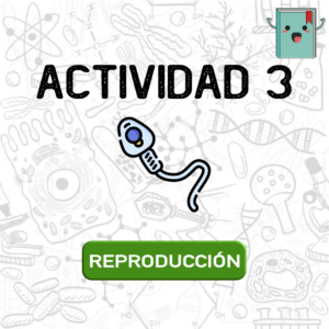 3. REPRODUCCIÓN
